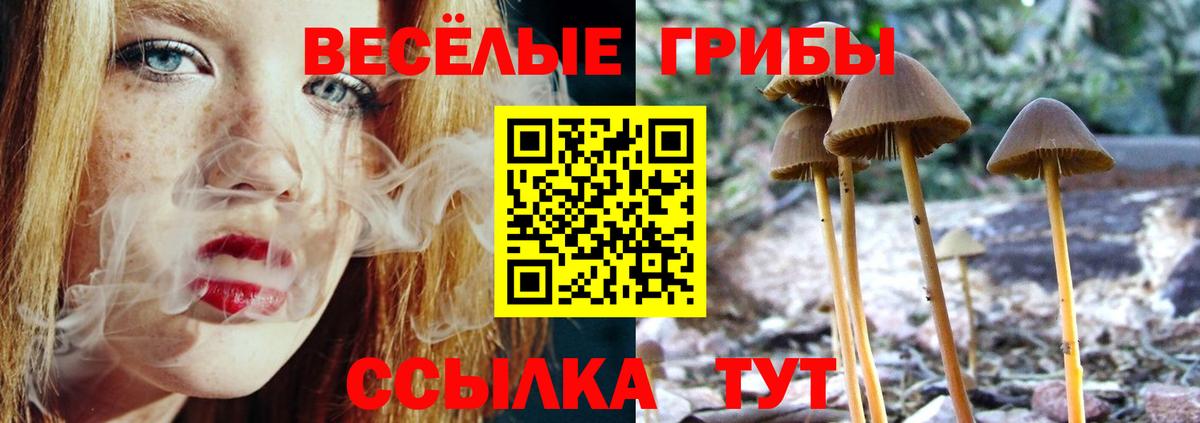 Псилоцибиновые грибы мухоморы Чебаркуль